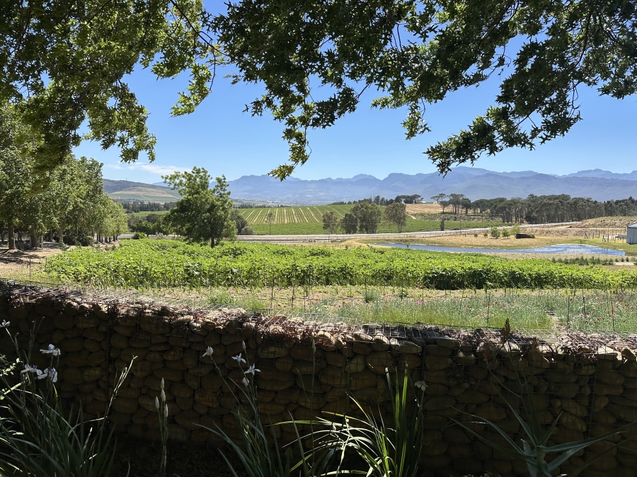 Commercial Property for Sale in Klapmuts Western Cape